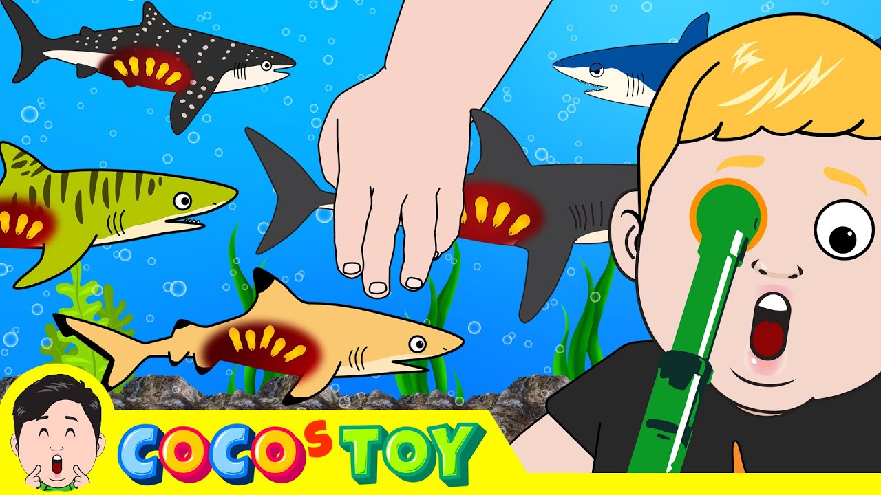 Детеныши акул родились вместе!ㅣмультфильм акулы для детейㅣCoCosToy