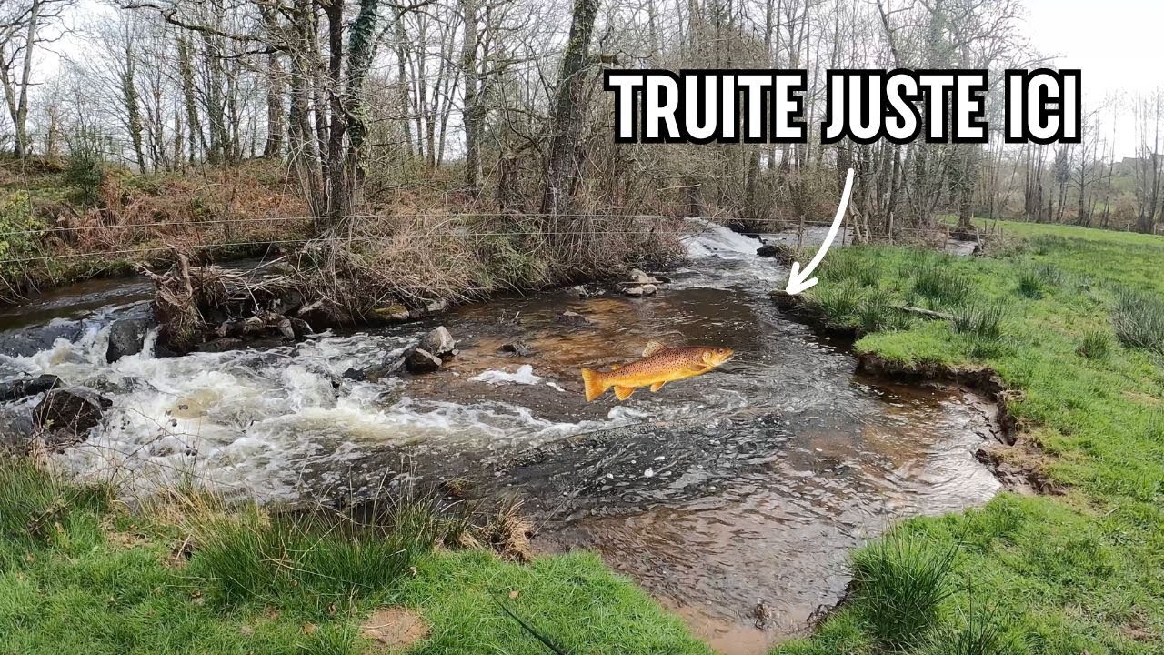 PÊCHE DE LA TRUITE A LA CUILLERE EN PETITE RIVIERE !