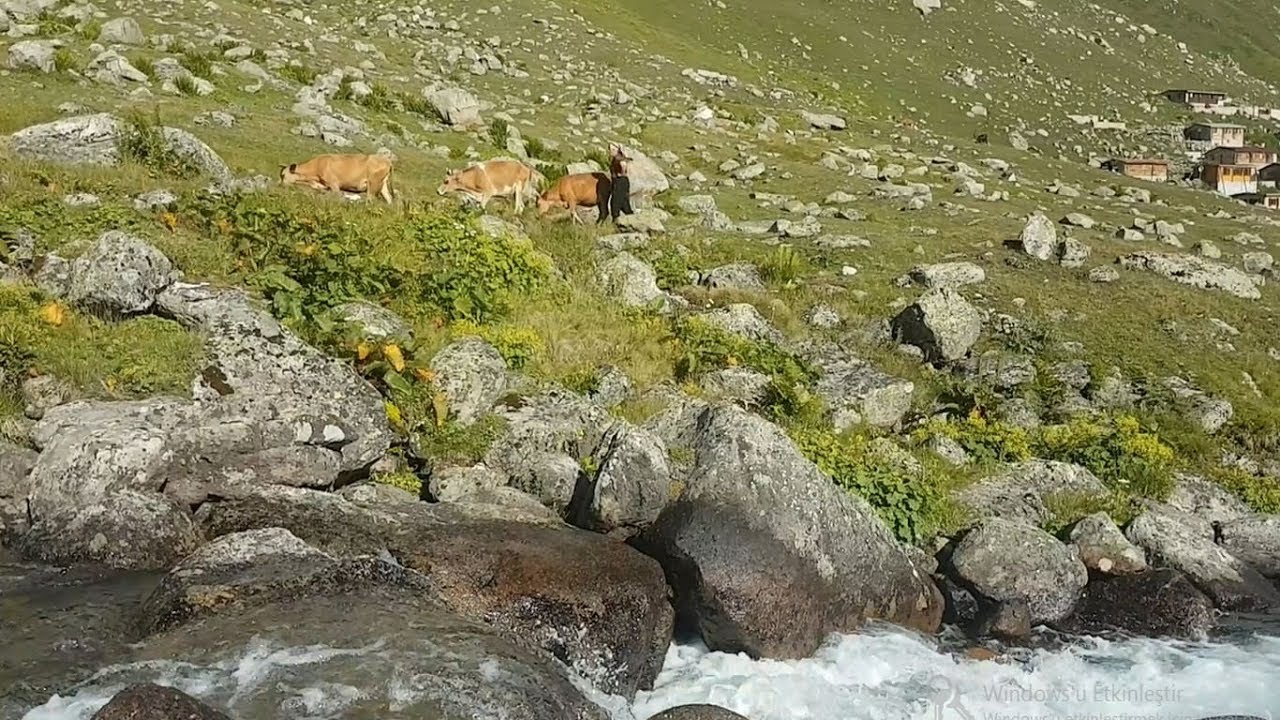 Rize Yukarı Kavrun Yaylası - (Rakım : 2.300)  Muhteşem Mutlaka İzleyin