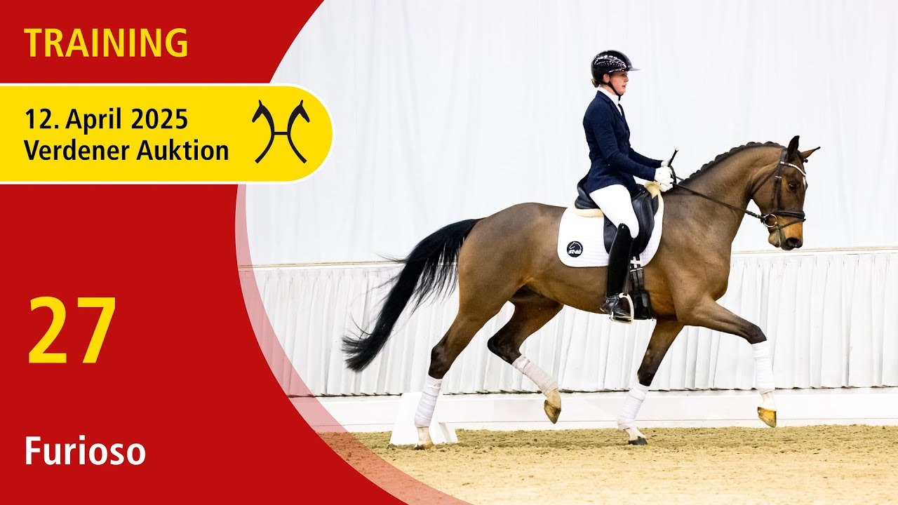 27 Furioso by Fusionist - Lauries Crusador xx | Verden Auction OnLive - Training - April, 12th