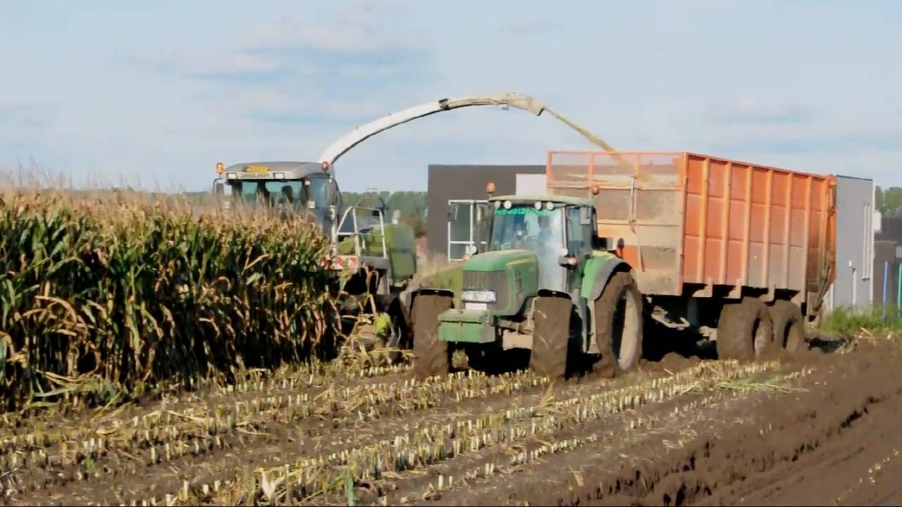 Loonwerk Patrick Van Holderbeke - Claas Jaguar 900 Speedstar - mais hakselen