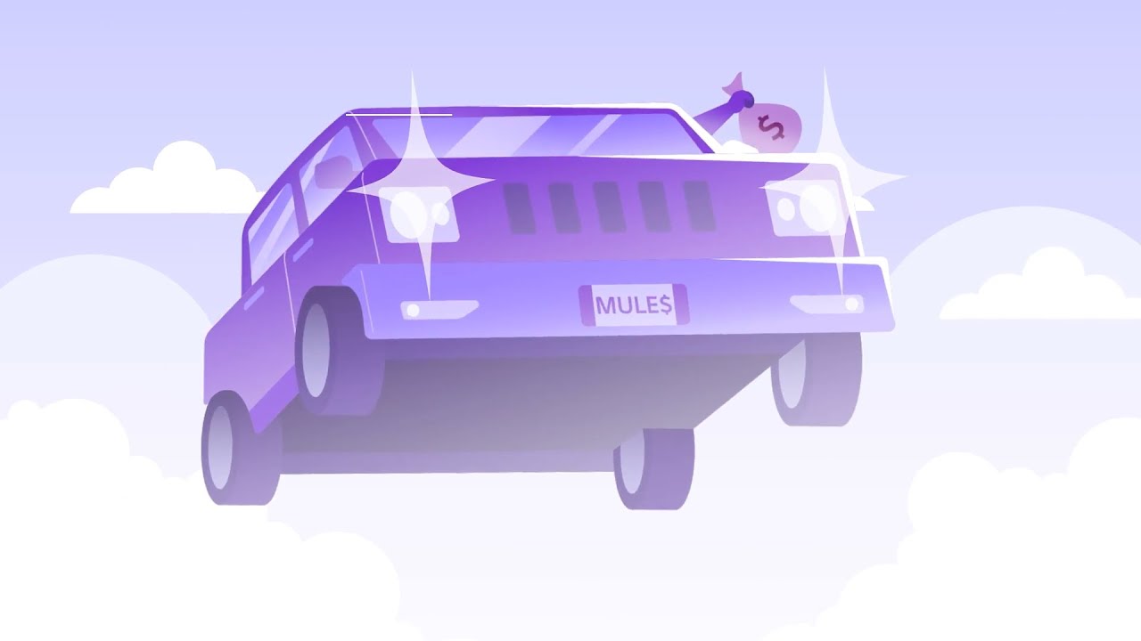Zelle&reg; | What is a Money Mule?