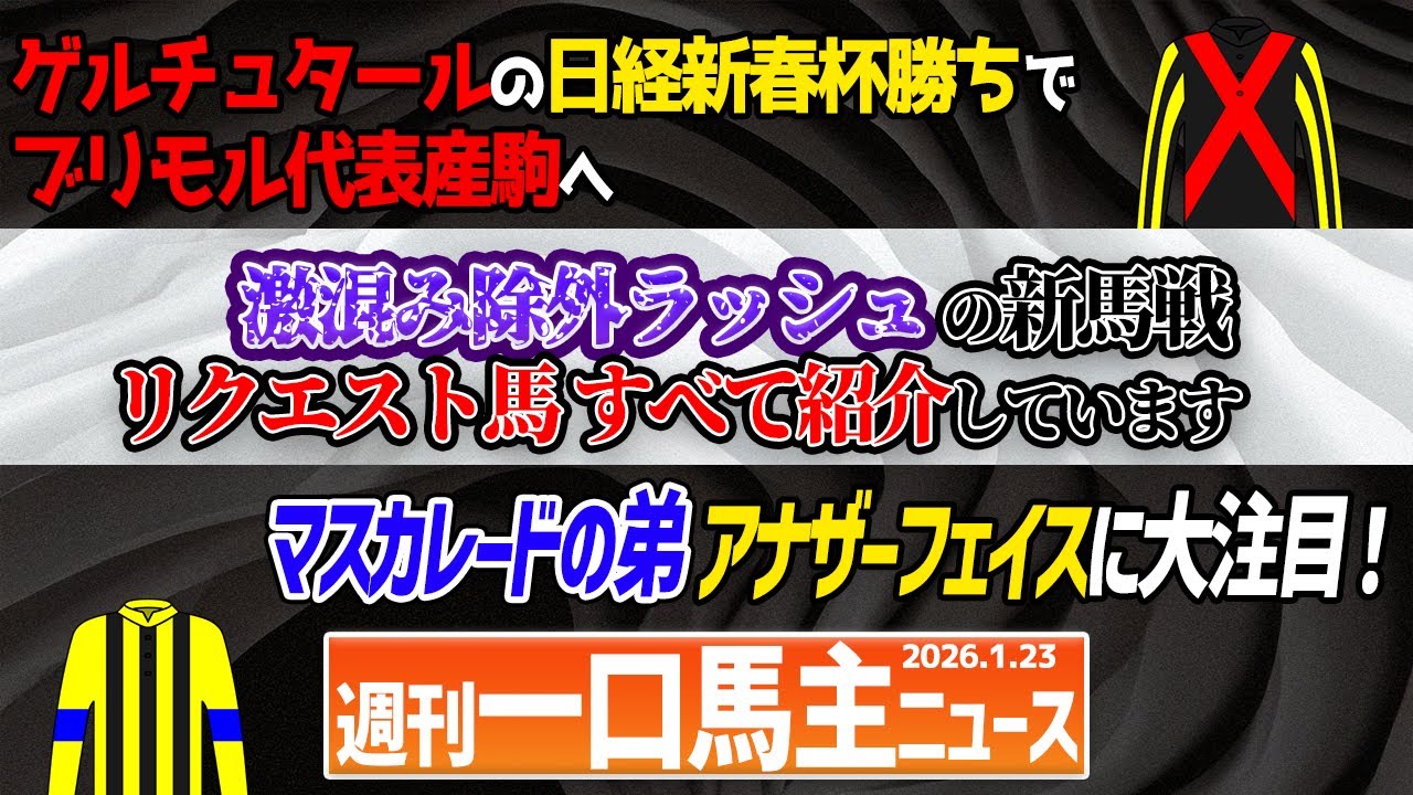 【週刊一口馬主ニュース】ゲルチュタールが重賞勝ち！PON出資馬も勝利🎊除外ラッシュの新馬展望もリクエスト馬すべて収録しています！マスカレードボールの弟デビューに注目【節約大全】Vol.1438