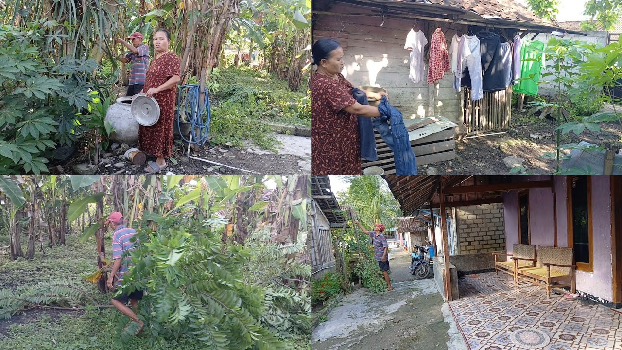 AKTIVITAS DI PAGI HARI SEBELUM LEBARAN POHON SURIKAYA DI TEBANG BEN PADANG