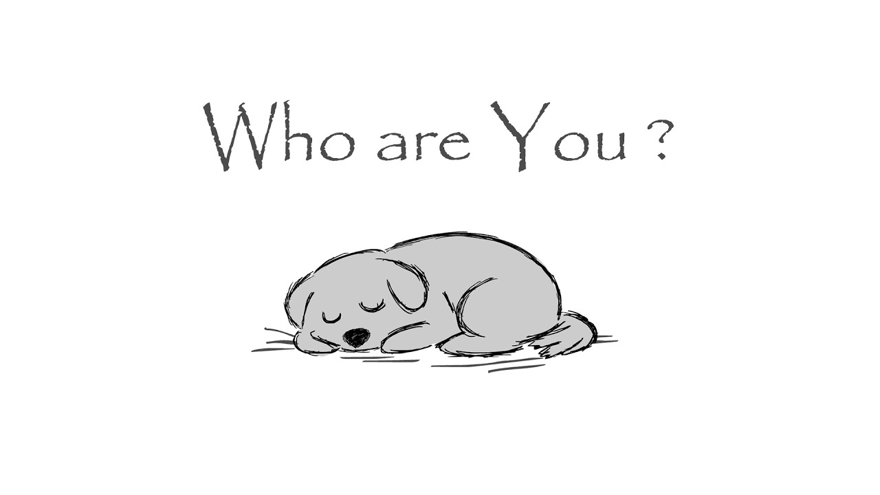Who are YOU ?