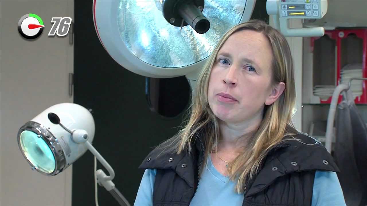 Pituitary Pars Intermedia Dysfunction (Ziekte van Cushing) | Paarden | 100 Seconden Dierenarts
