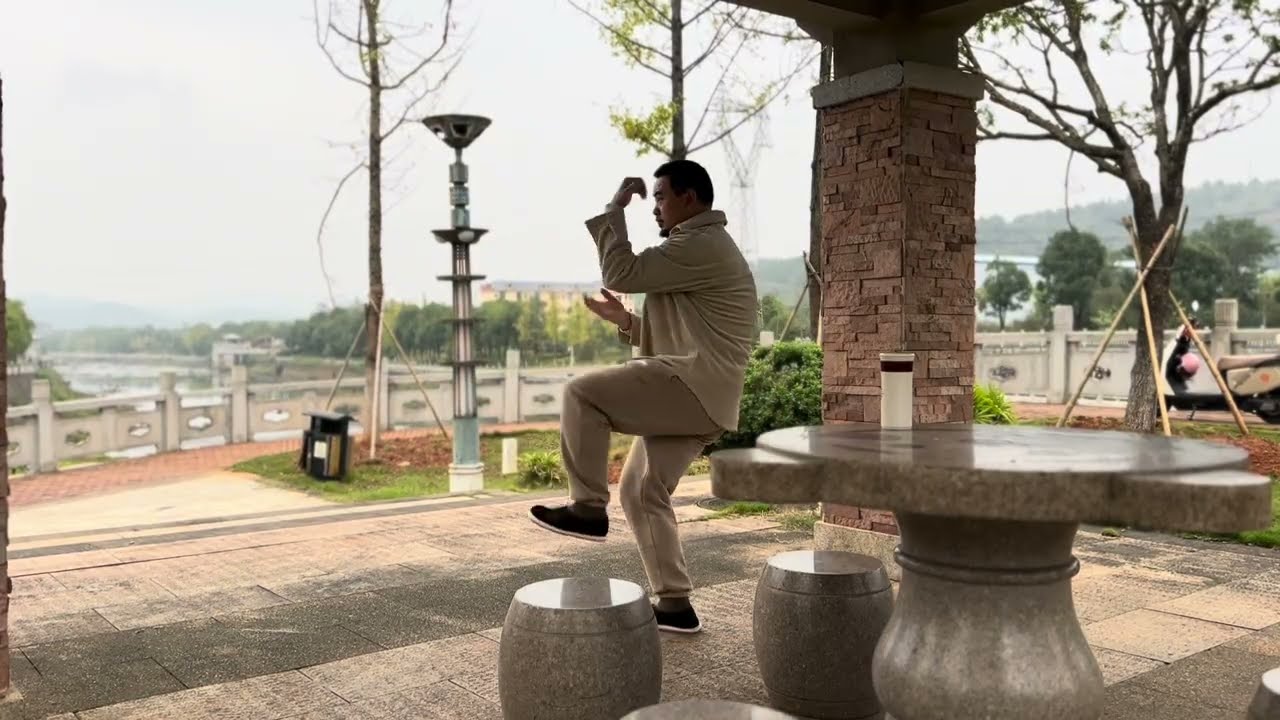 心意六合拳展示 Xinyi liuhe martial art demonstration by Shifu Ningtai Tang #心意拳唐宁泰