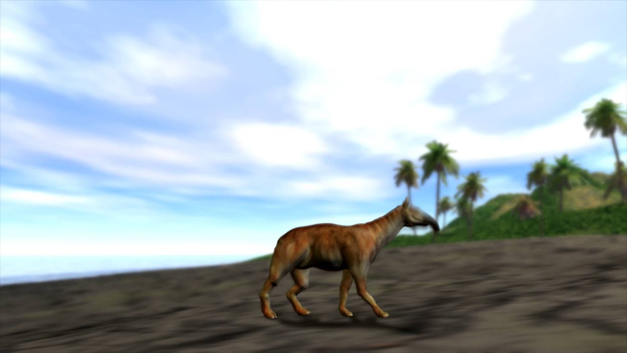 Convergent evolution conundrum