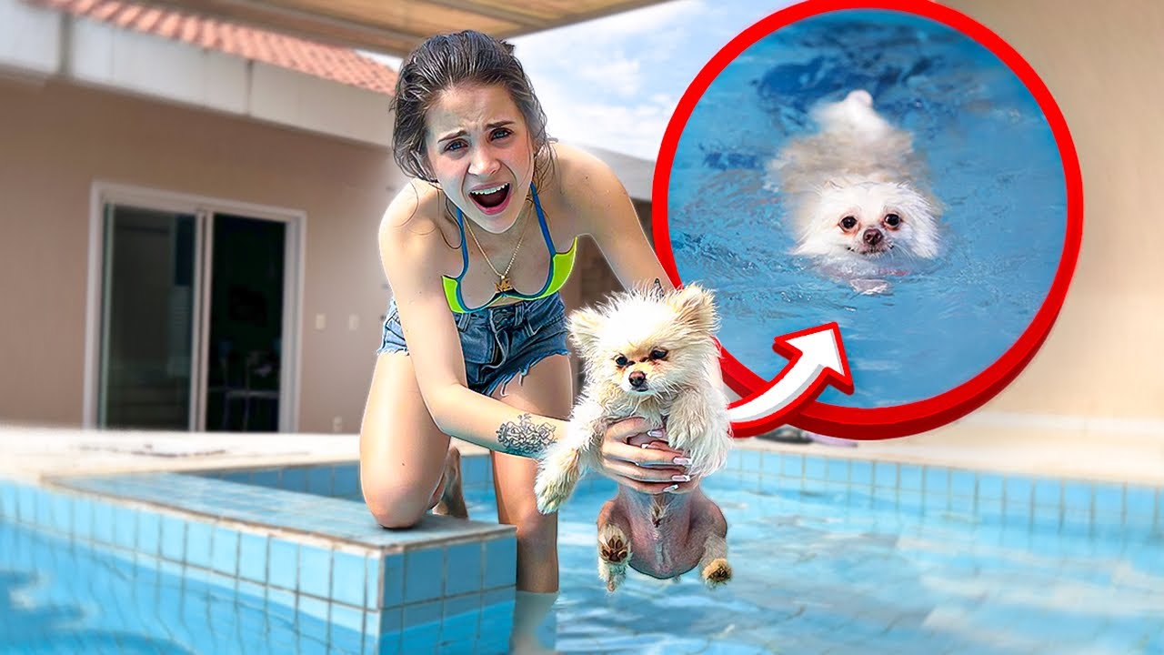 O NOSSO CACHORRINHO SE AFOG0U NA PISCINA! 😭