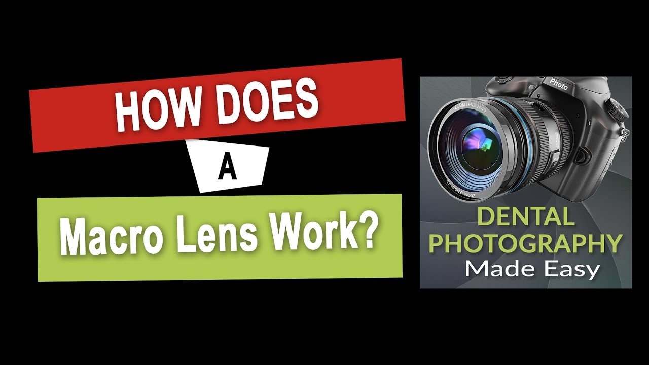 Macro Lenses - How Does A Macro Lens Work?