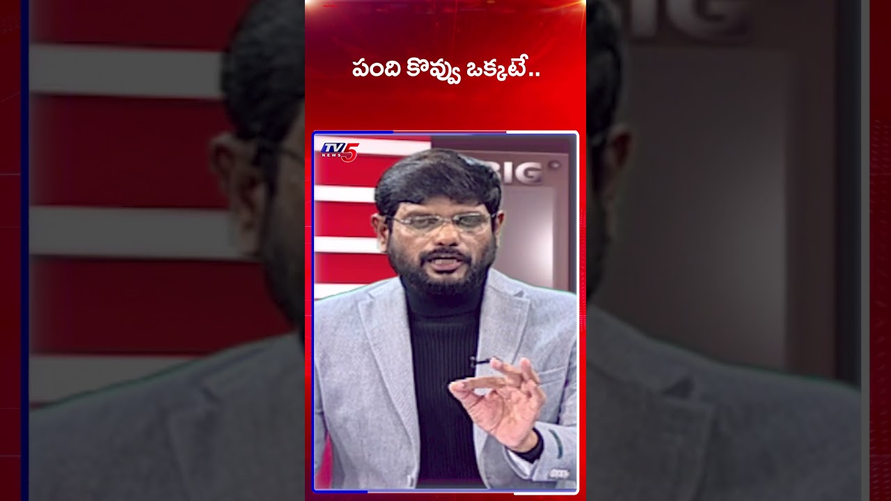 TV5 Murthy Comments | YSRCP | Tirumla Laddu Controversy | Big News Debate | TV5 News