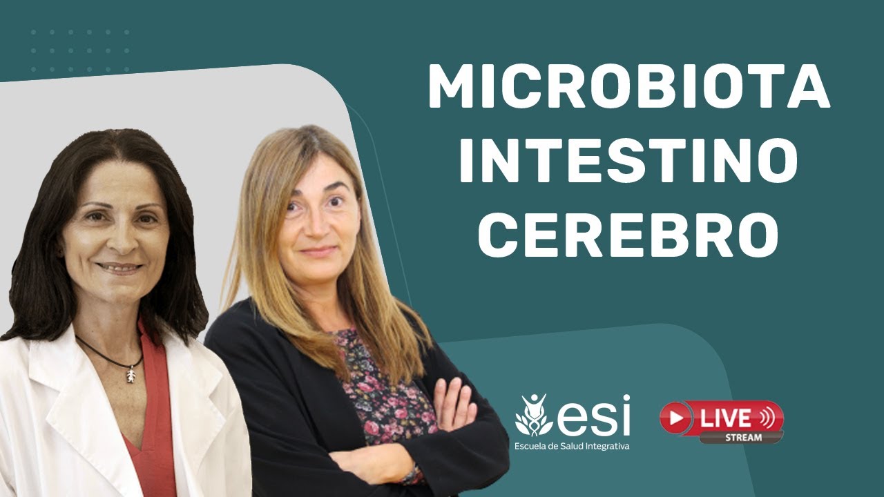 🔴 MICROBIOTA y Sistema Nervioso