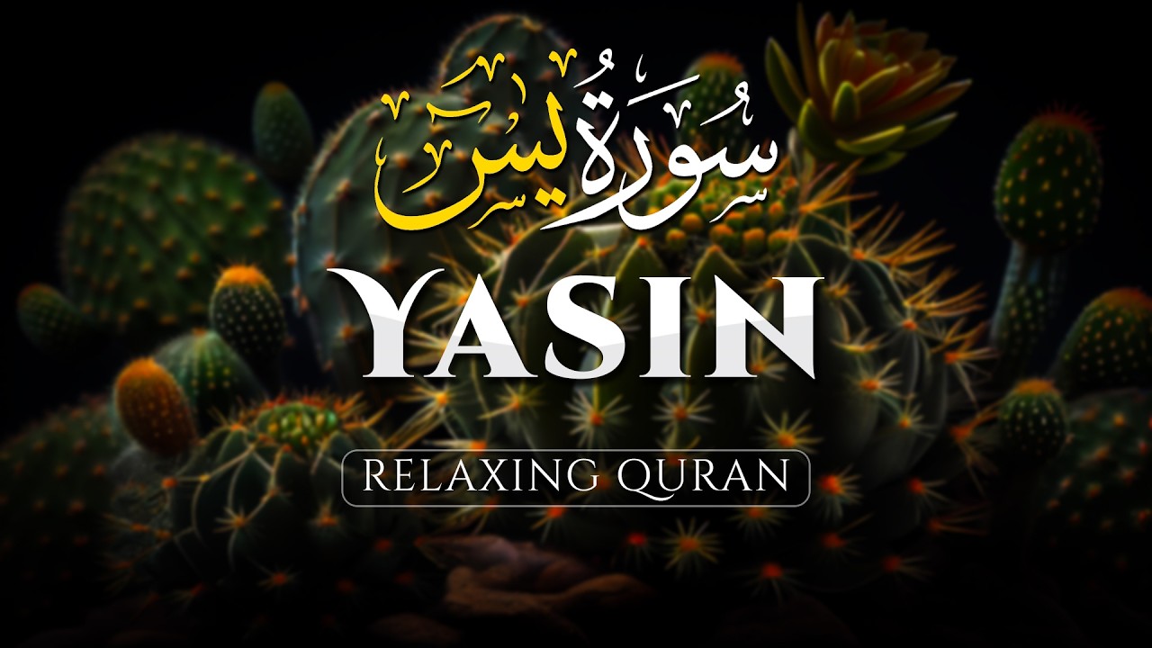 Most Beautiful Quran Recitation of Surah Yasin (Yaseen) سورة يس Heart Touching Quran - ALAA AQEL