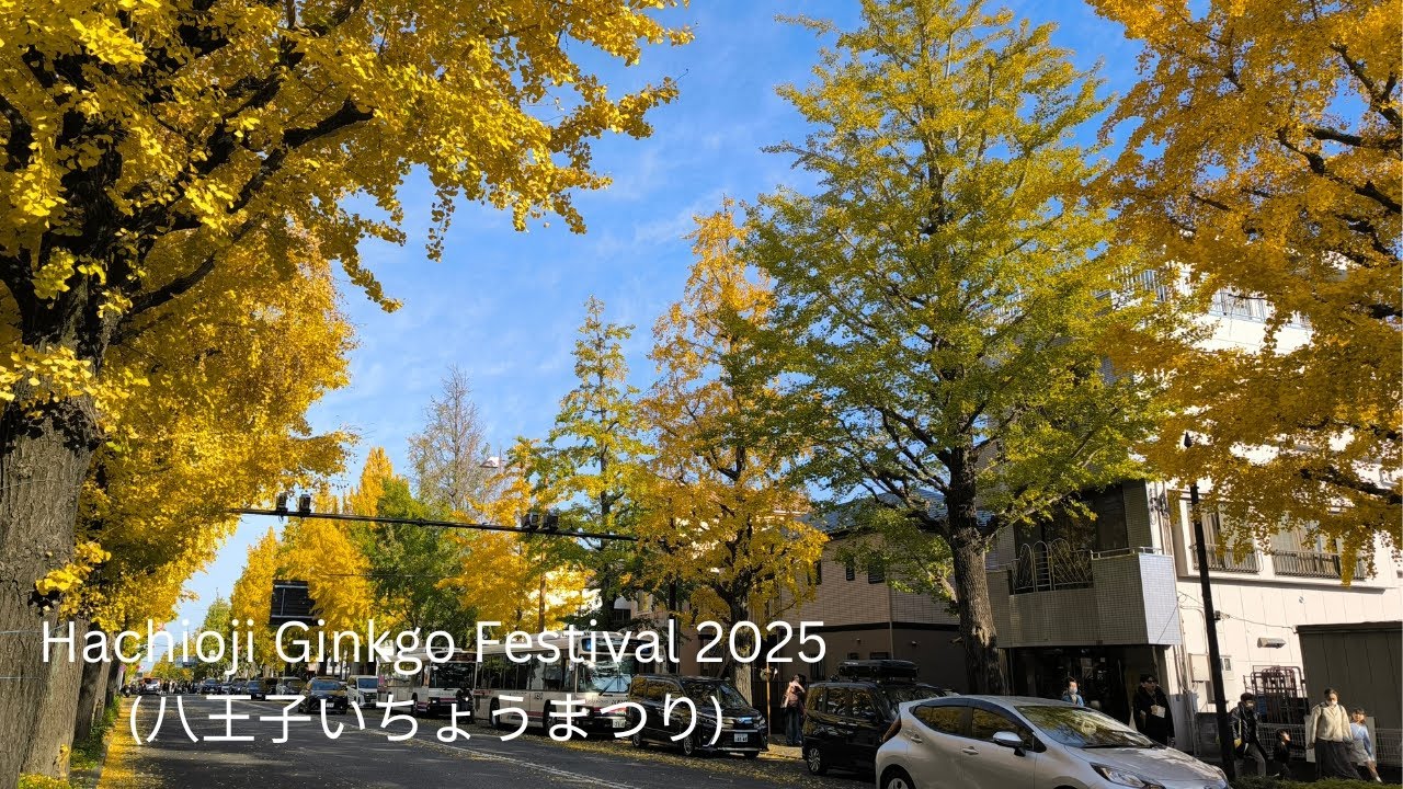 [4K HDR] Hachioji Ginkgo Festival 2025 (八王子いちょうまつり2025) #video #autumncolors #秋 #銀杏祭り