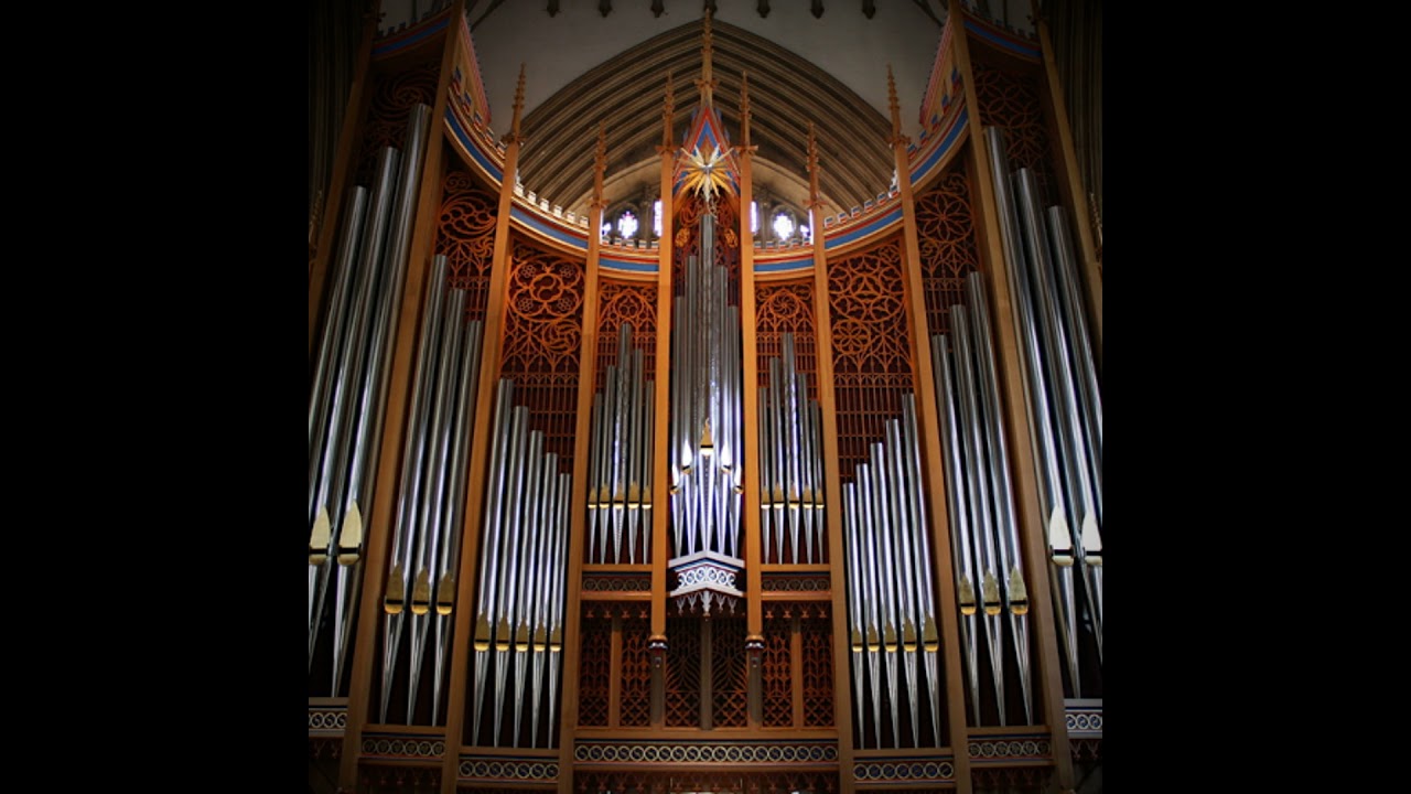 The King of Instruments ep. 271, August 18, 2024 - Definitely Dobson