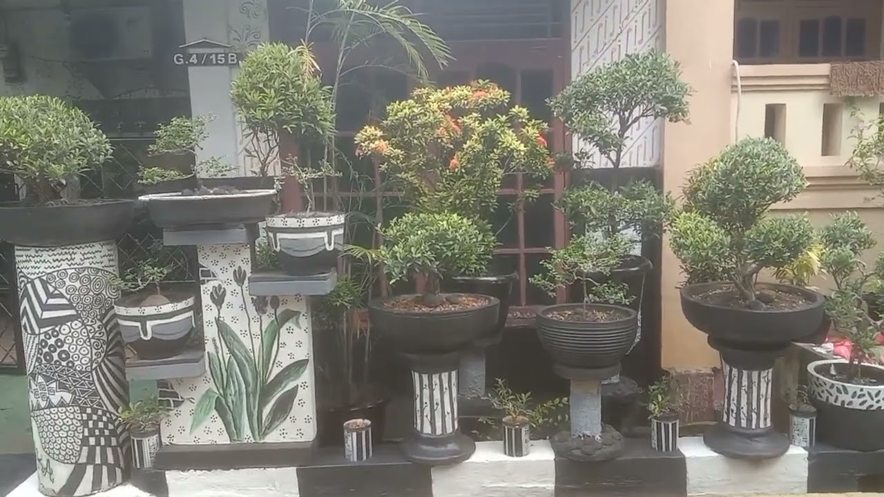 pot hitam putih
