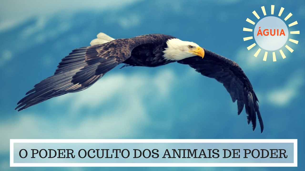 Animal de Poder Águia - O Poder Oculto do Animal de Poder