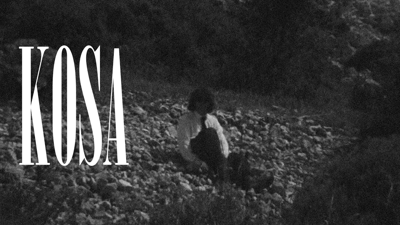 *FREE* ANIKV + SALUKI + T-FEST Type Beat - KOSA