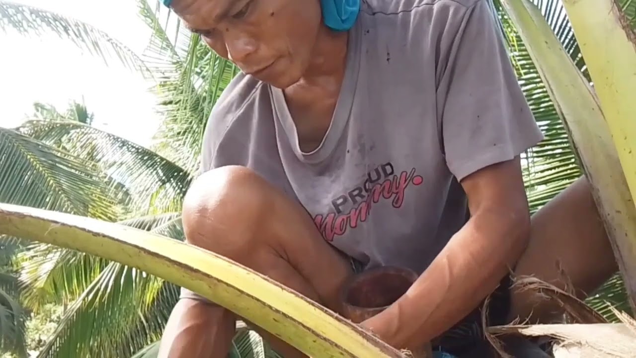 Manawat tag tuba suka karon buntaga #kawboymixvlog