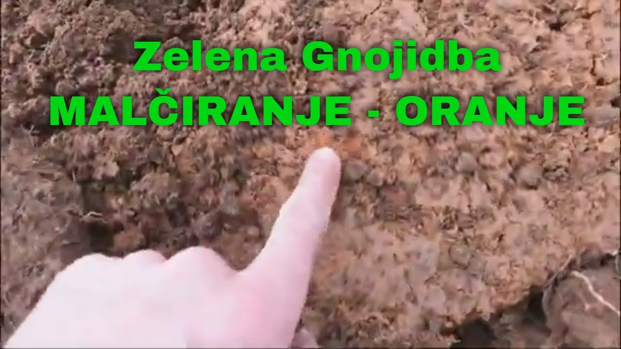 Zelena Gnojidba - MALČIRANJE - ORANJE