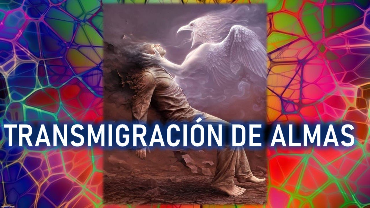 TRANSMIGRACI&Oacute;N DE ALMAS: 🕵️&zwj;♀️🕵️&zwj;♀️ESTO ES MUY SERIO.