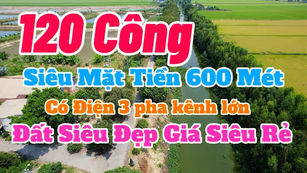(Số 907) Duy Nhất 120 Công 👉Siêu Hiếm Vuông,Tuyệt Đẹp,Mặt Tiền Lớn 600mét Giá Lại Rẻ