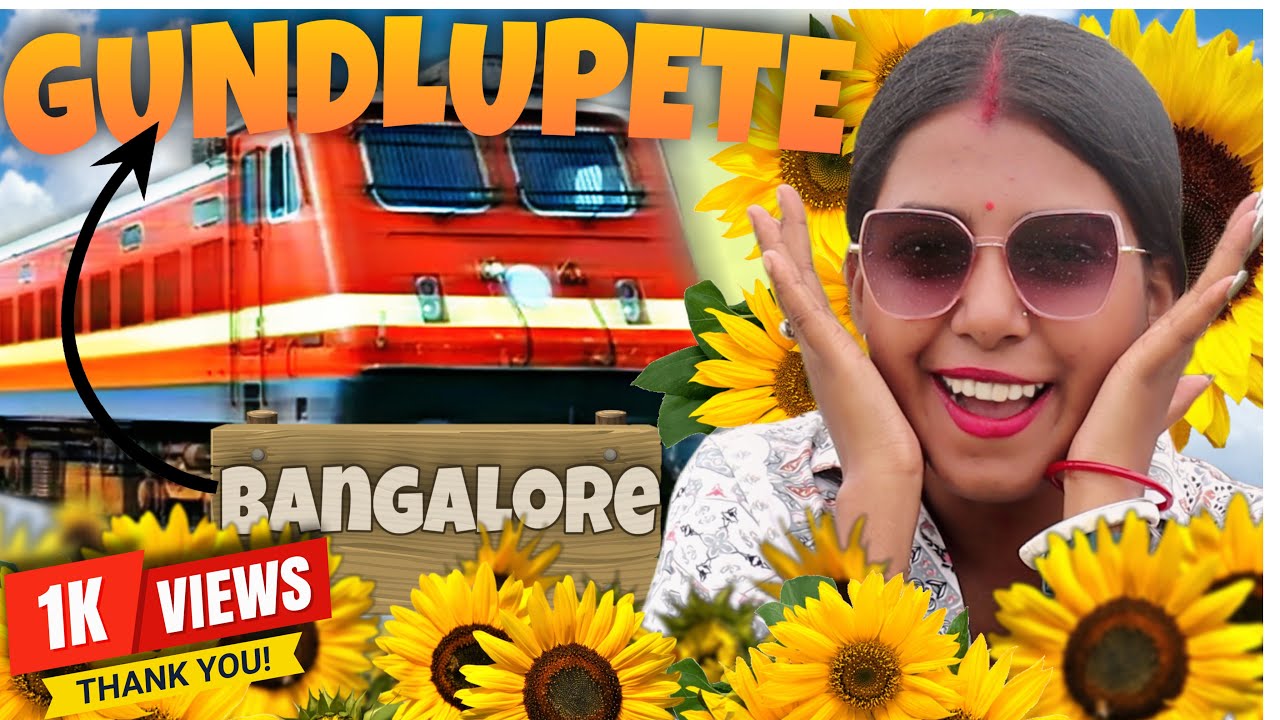 Bangalore to Gundlupete by Train, Sunflower Field Gundlupet | Season Ending HURRY UP!