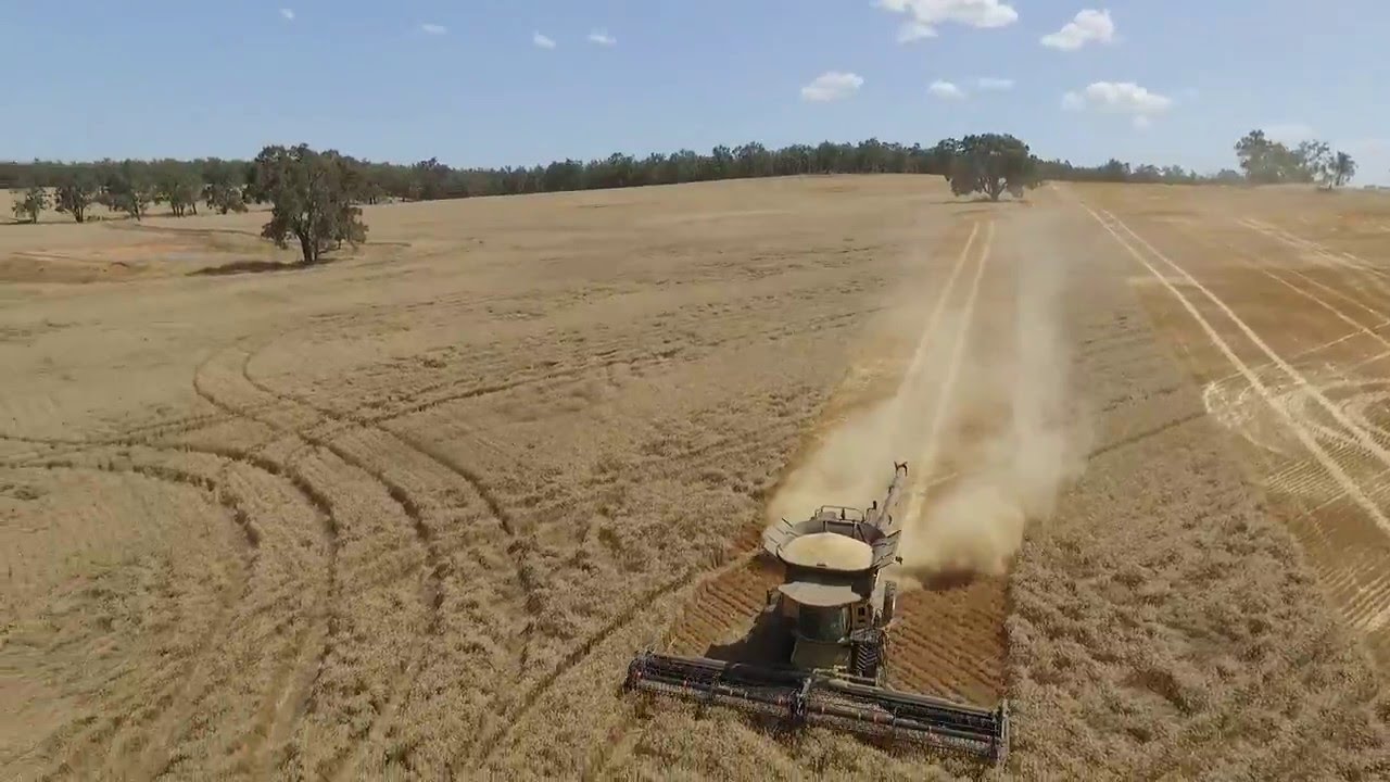 Westfield, Frankland River, Western Australia - 2015 Harvest