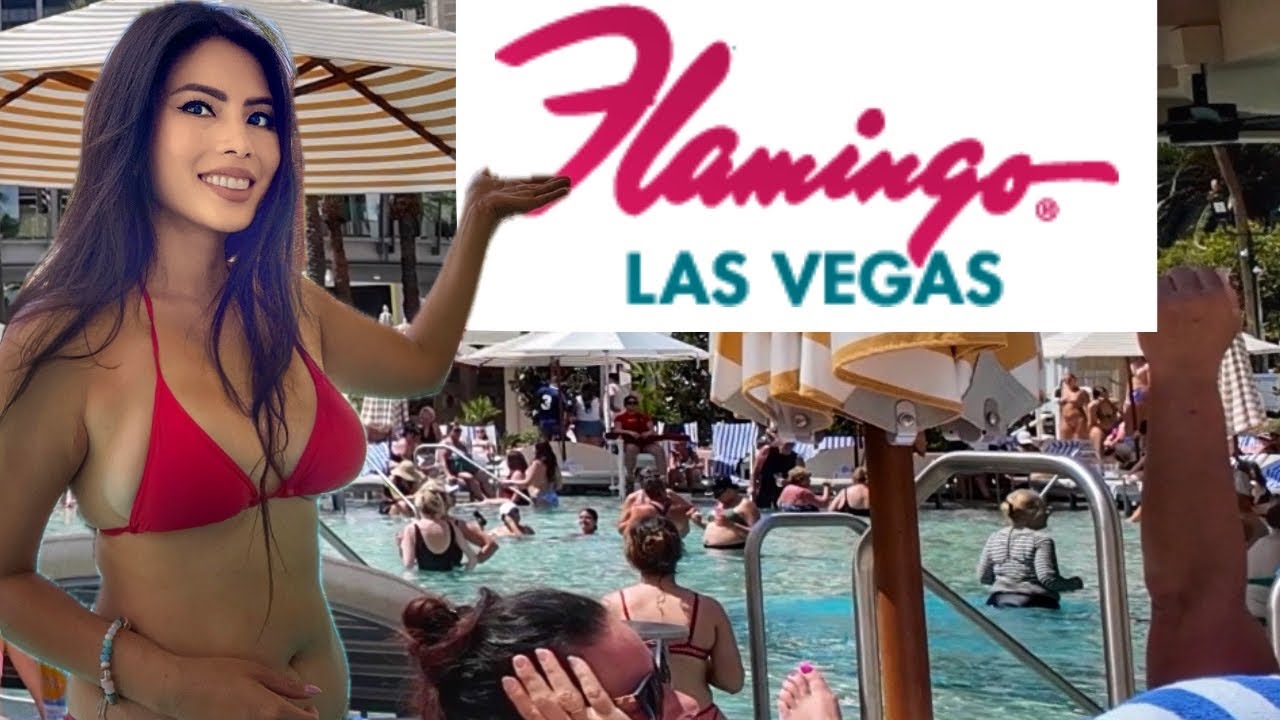 Flamingo Las Vegas Renovations & Honest Review (New Pool is Open)