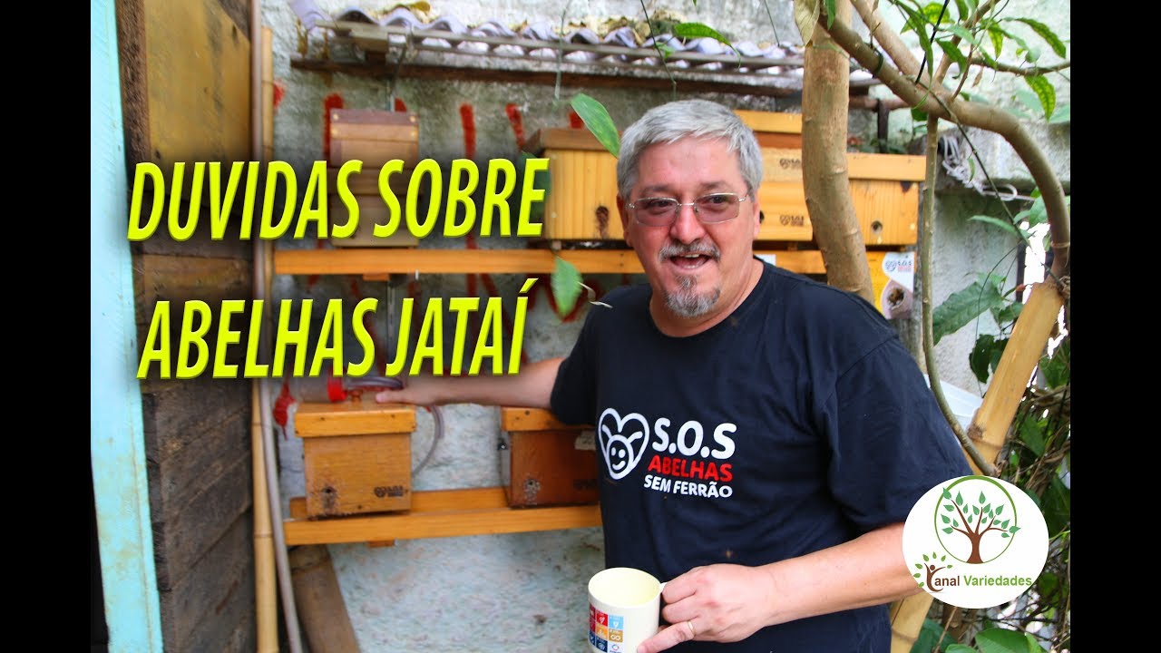 Abelhas Jataí, Tire suas duvidas para ter em Casa com SOS Abelhas sem Ferrão
