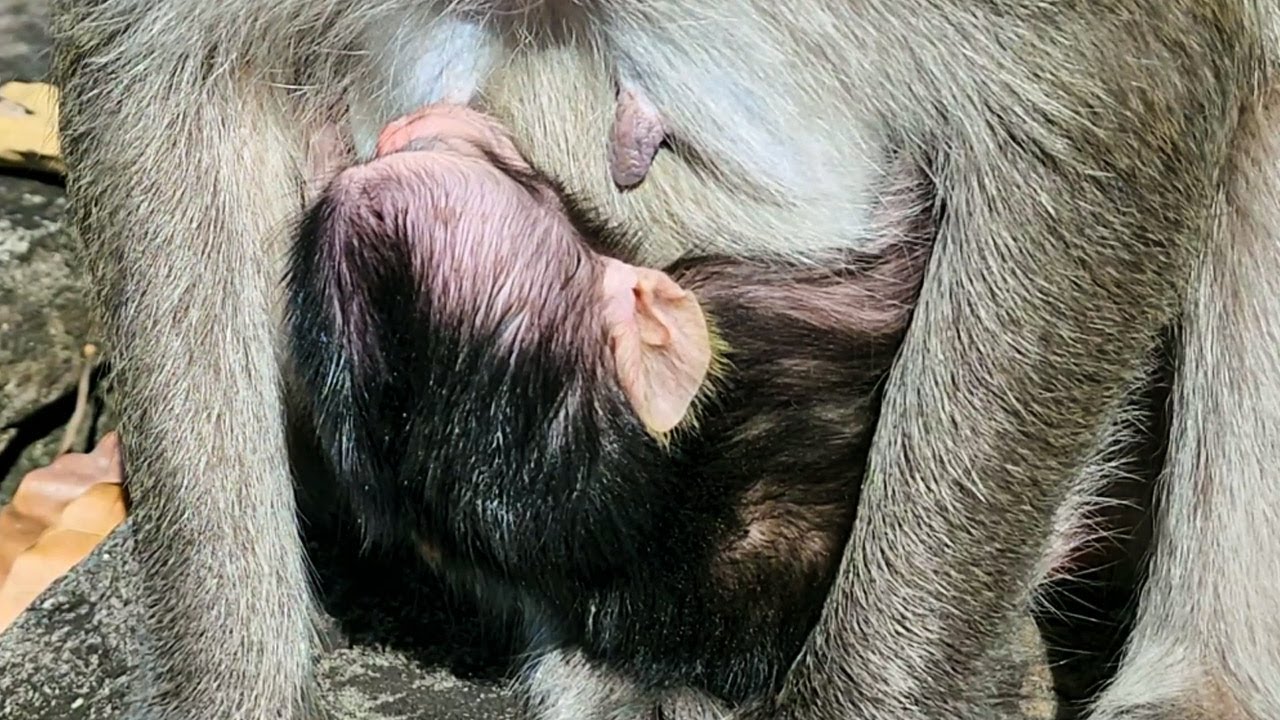 First Time and baby but young mom Suction so good experience and heartwarming