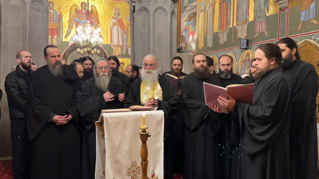 Mâna ta care s-a atins de preacurat creștetul Stăpânului (2025)