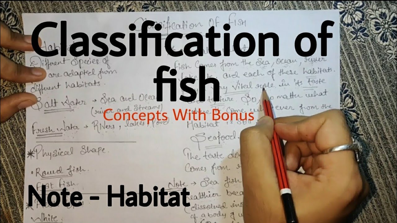 Classification of Fish in Hindi | Habitat | Hotel Management Tutorial