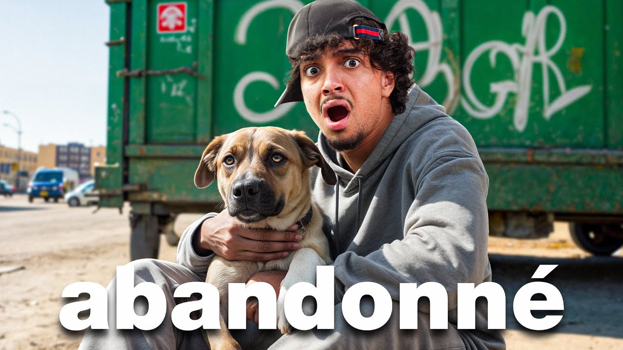 J'AI ADOPTÉ UN CHIEN ABANDONNÉ (dans mon appartement..)