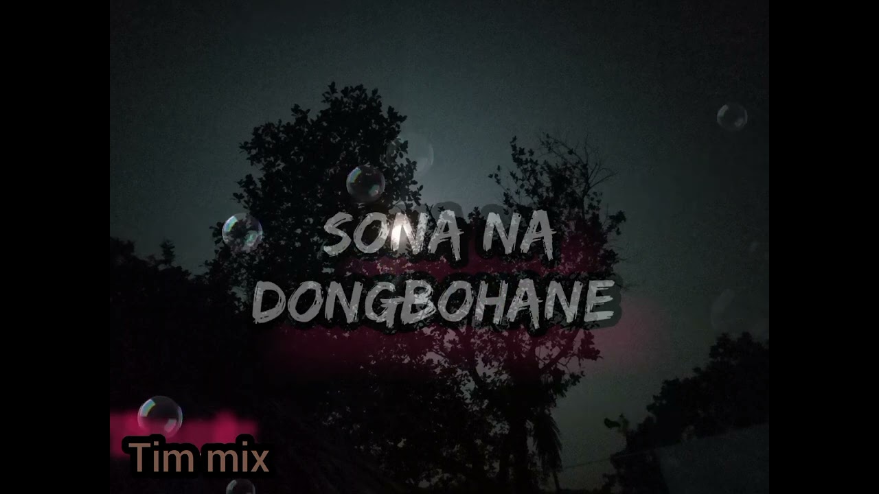 Sona na dongbohane / Lyrics video