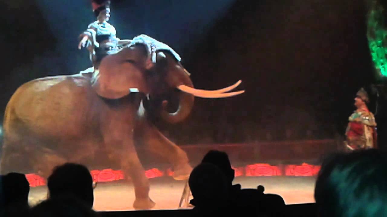 Circo MEDRANO(6)