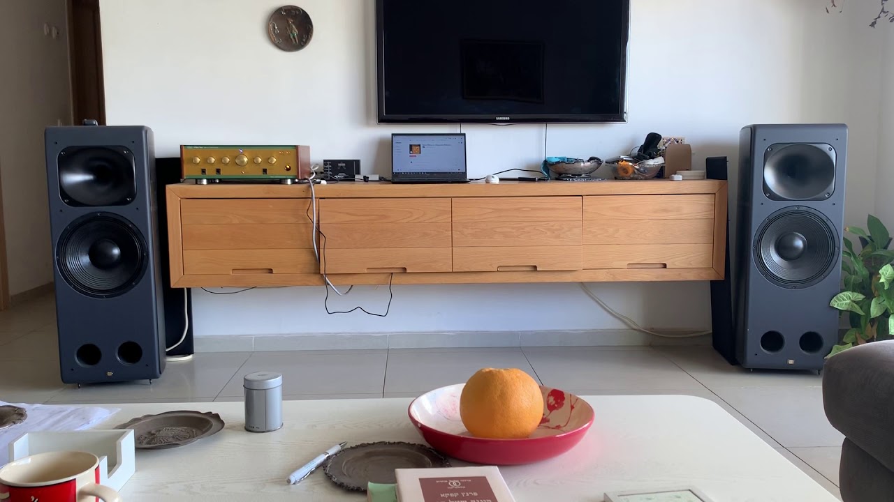 Unison Research Max1 + Leben CS 600