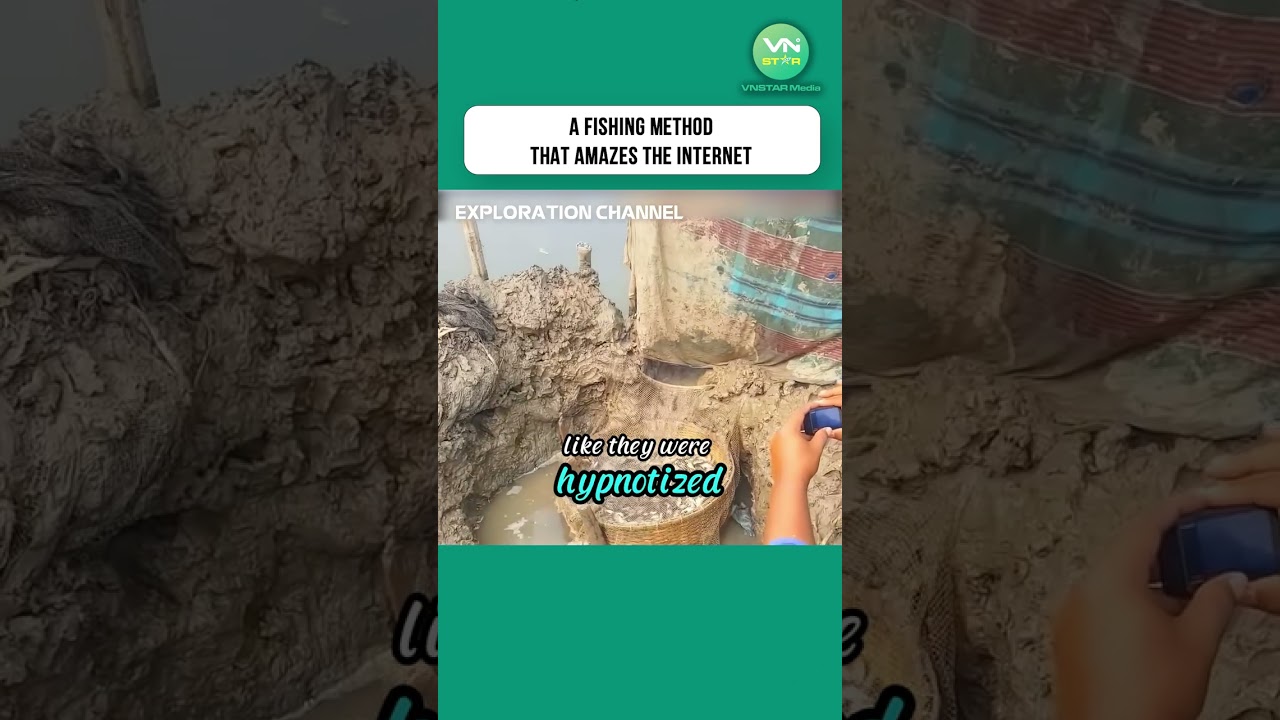 A Fishing Method That Amazes the Internet #shorts #fishing