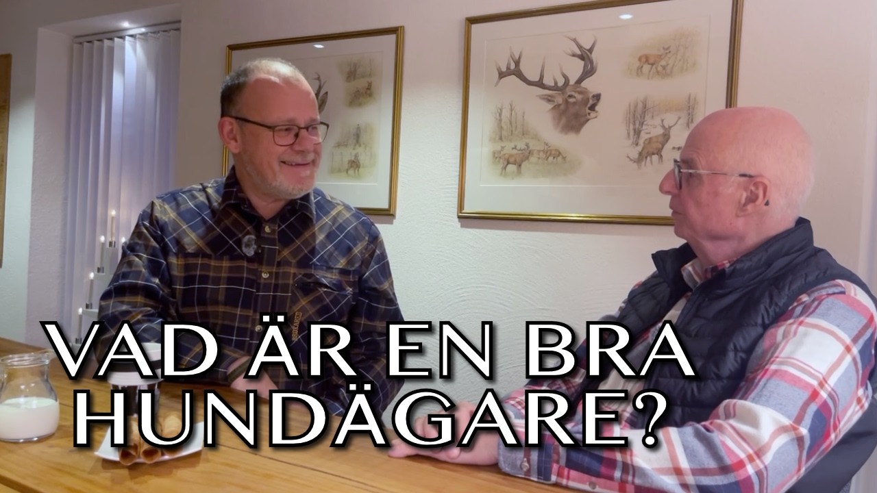 Vad är en bra hundägare?