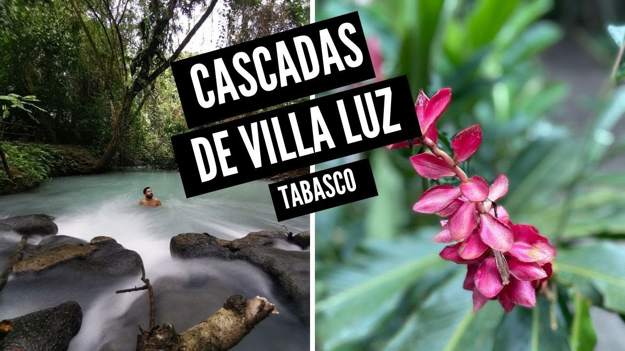 El mejor SECRETO DE MEXICO esta en TABASCO 🌳🌄 con @MarieldeViaje y @sebitastrip