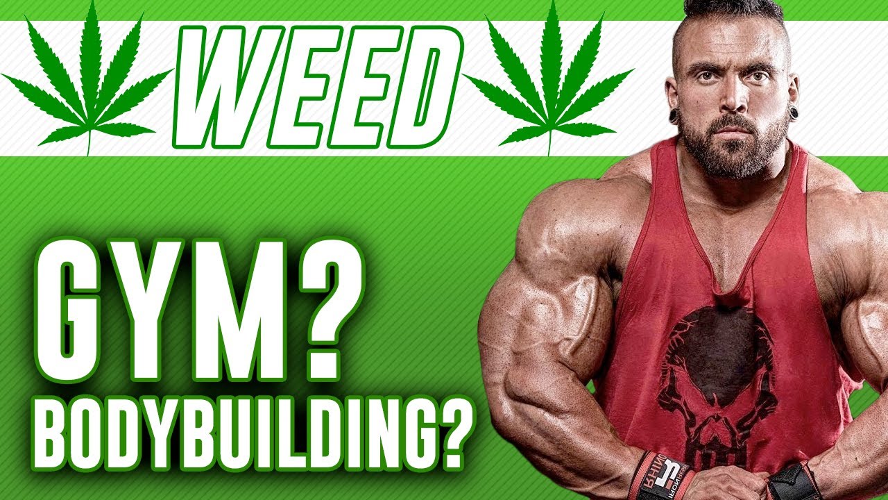 Weed & Bodybuilding | Does Marijuana help with gym gains? With IFBB Pro Luke Sandoe