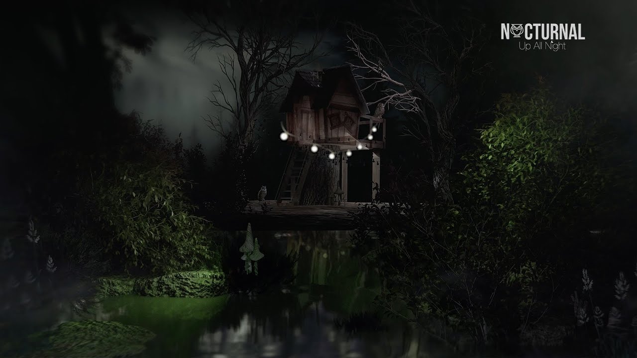 After the Rain at Owl Creek  at 3am | ASMR Ambience