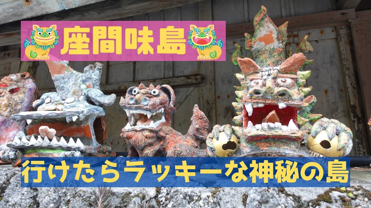 春の沖縄県・座間味島旅!!行けたらラッキーな神秘の島を堪能する!!