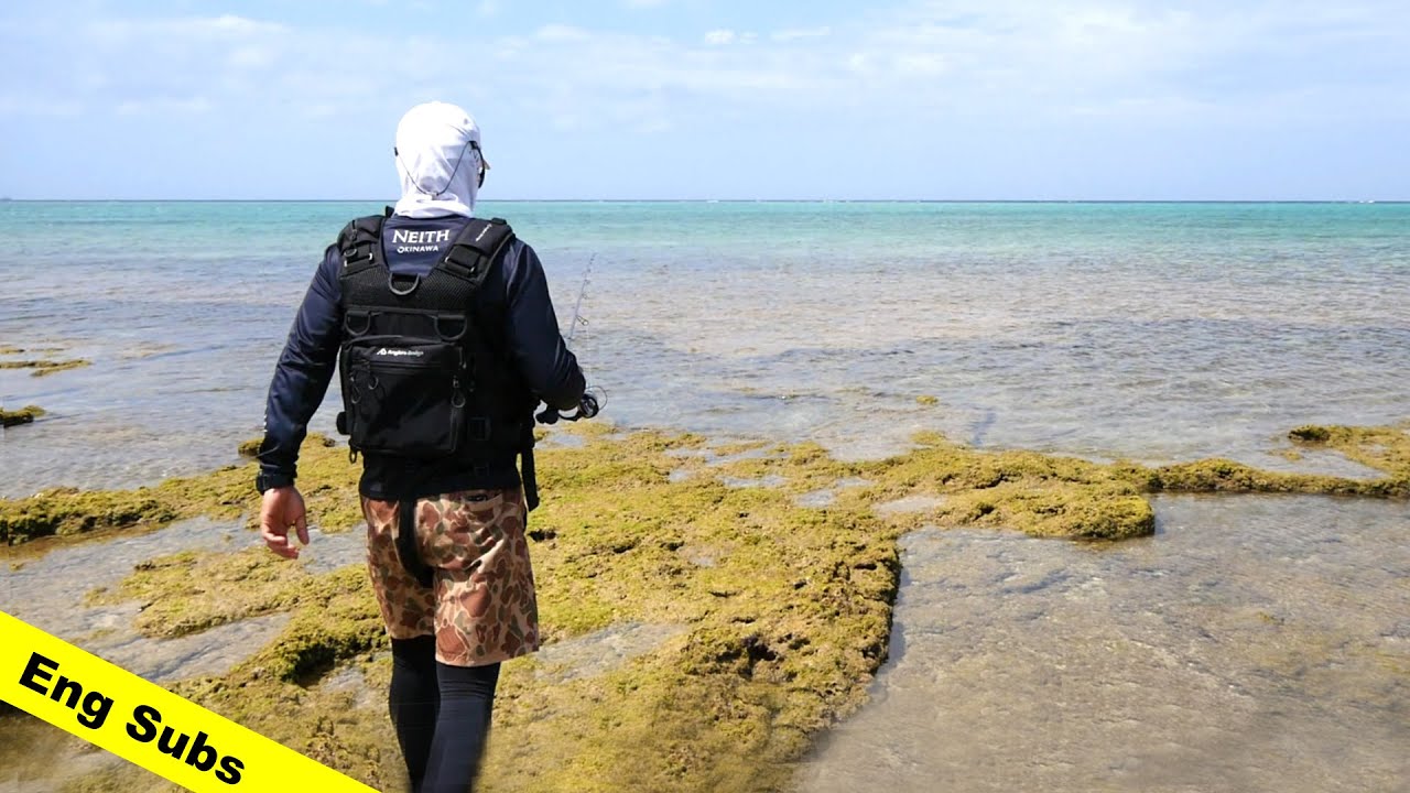 沖縄リーフ・ウェーディングのやり方  | Okinawa Reef Wading Tips