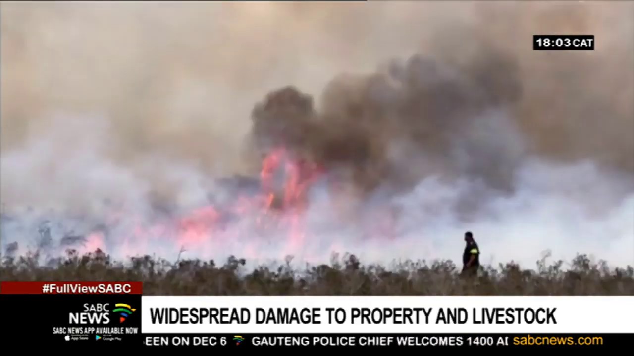 Southern Cape fire damages property and causes losses to livestock