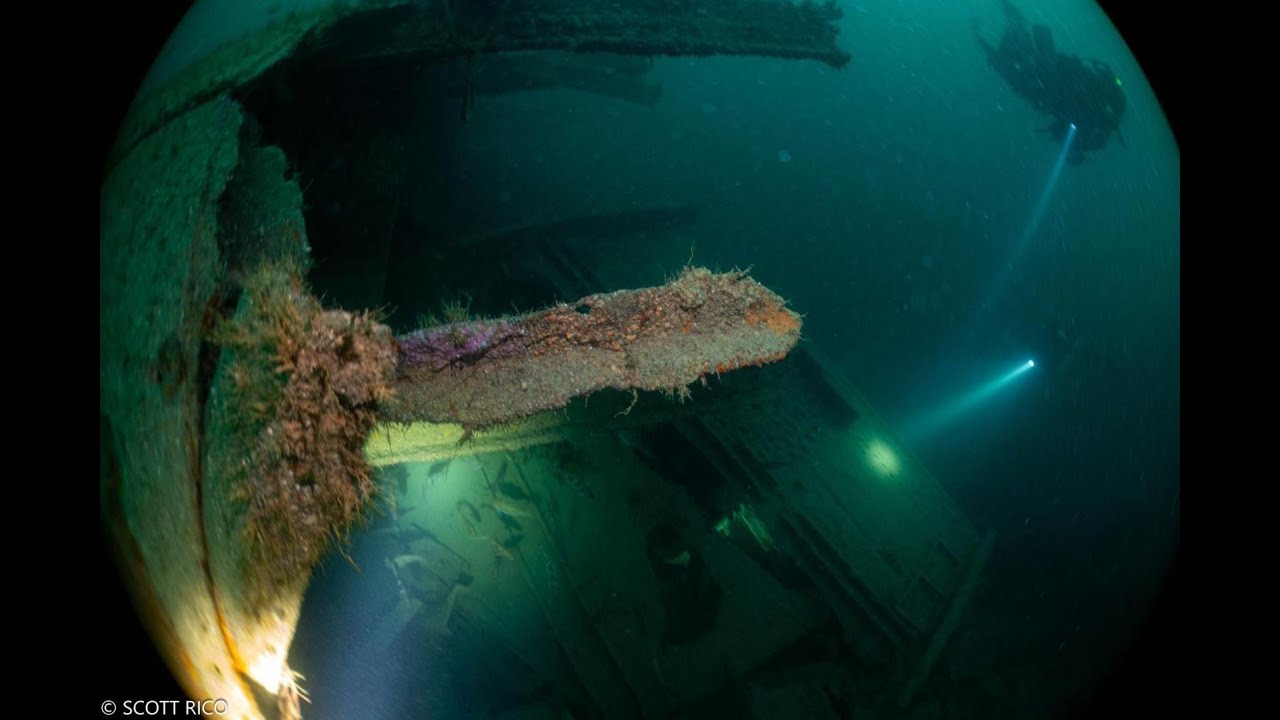 13th October 2024 HMS Moldavia