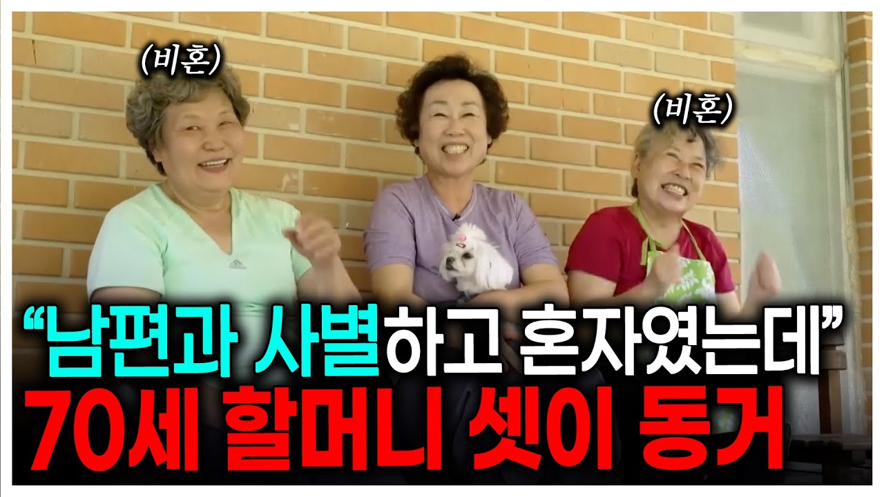 남편과 사별 후, 비혼 친구들과 함께 살기로 결심했다! 세 할머니의 유쾌한 동거 | KBS 다큐온 210910 방송