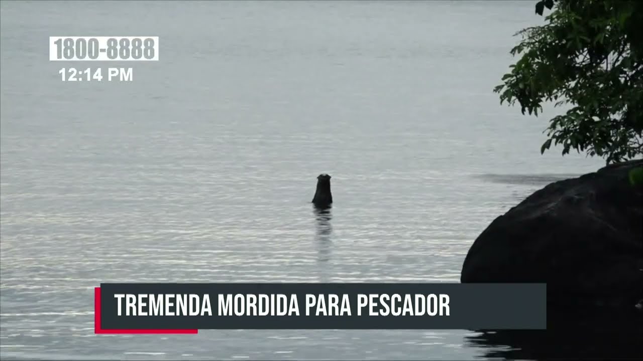 «Perro de agua» ataca a un pescador que estaba tranquilo en Ometepe - Nicaragua