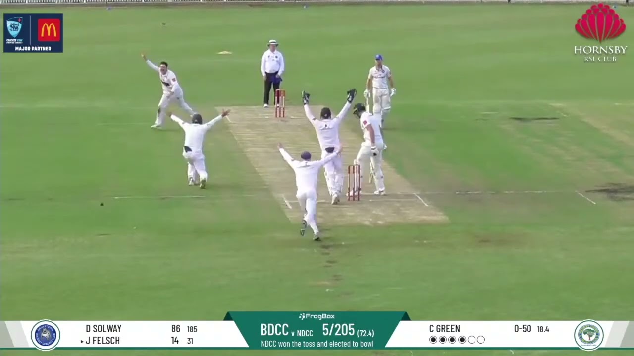 2025/26 1st Grade vs Bankstown Highlights - Round 16 Day 1