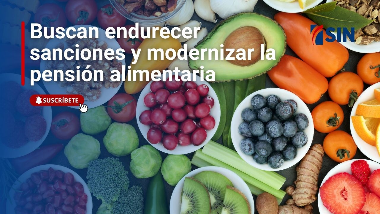 Buscan endurecer sanciones y modernizar la pensión alimentaria